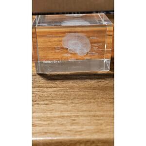 Glass Cube with BRAIN Anatomical etching